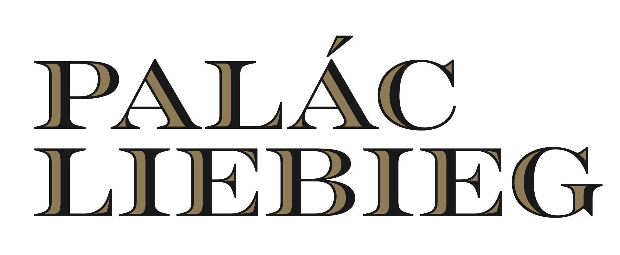 logo Palác Liebieg